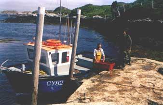Boating (Beachview Cottages)
